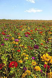 Epic喜加一：《漫威暗夜之子》免费领取