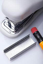 《糖豆人：终极淘汰赛》第五赛季预告 以“丛林冒险”为主题